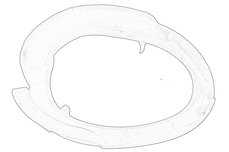 Amotizoare caroserie - Saiba arc Fata/Inferior (Dreapta/Stanga) potrivit FORD C-MAX II, FOCUS III, GRAND C-MAX, KUGA II 04.10-