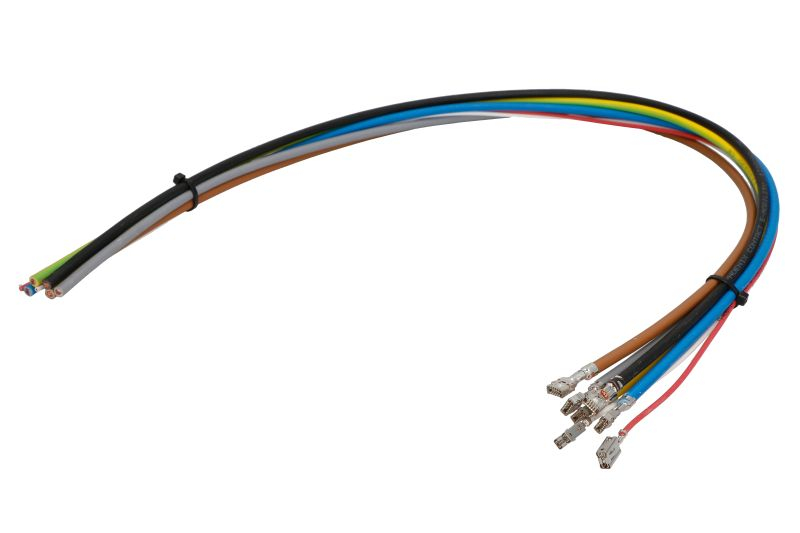Adaptor incarcator masina electrica CHARX Connect 1buc [2]