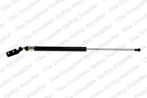 Amortizor portbagaj, haion, spate dreapta SUBARU FORESTER 2002-2008 [1]