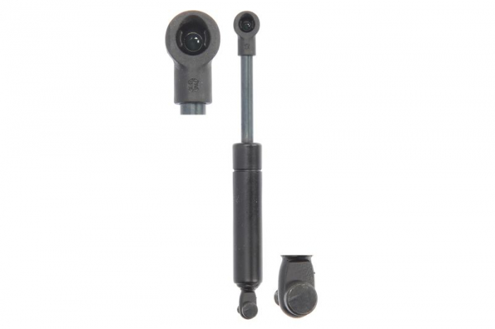 Amortizor portbagaj, haion, spate stanga/dreapta RENAULT MEGANE I COACH Coupe 1996-2003 [1]