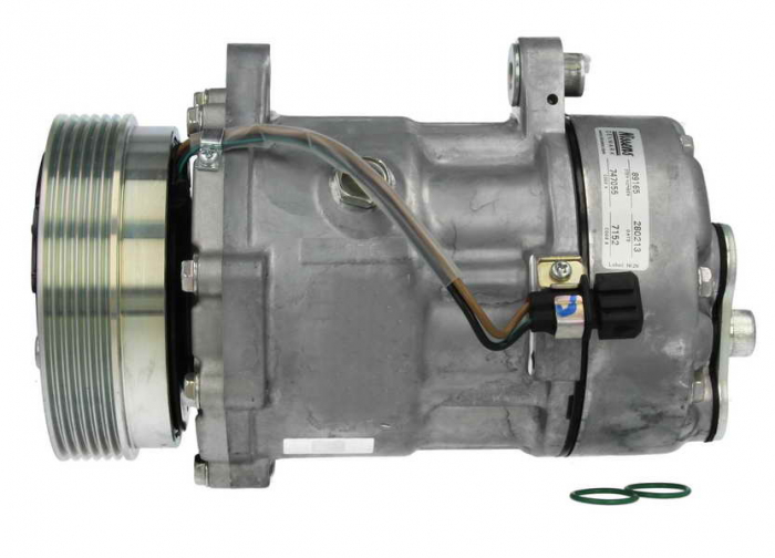Compresor climatizare aer conditionat potrivit SEAT ALHAMBRA; VW SHARAN 1.8 09.97-03.10 [4]