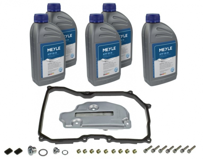 Filtru hidraulic (09G; 09M; AQ250; TF-60SN) potrivit AUDI A3, TT; SEAT ALTEA, CORDOBA, IBIZA III, TOLEDO III, TOLEDO IV; SKODA FABIA II, OCTAVIA II, RAPID, ROOMSTER 1.0-2.5 01.98- [1]