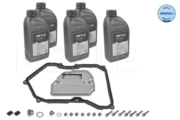 Filtru hidraulic (09K; TF-61SN) potrivit VW MULTIVAN T5, TRANSPORTER T5 2.5D/3.2 04.03-12.09 [2]