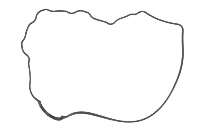 Garnitura capac culbutori HYUNDAI H100; MITSUBISHI GALANT, PAJERO, L 200, 300, 400 2.0/2.3D/2.5D 09.80- [1]