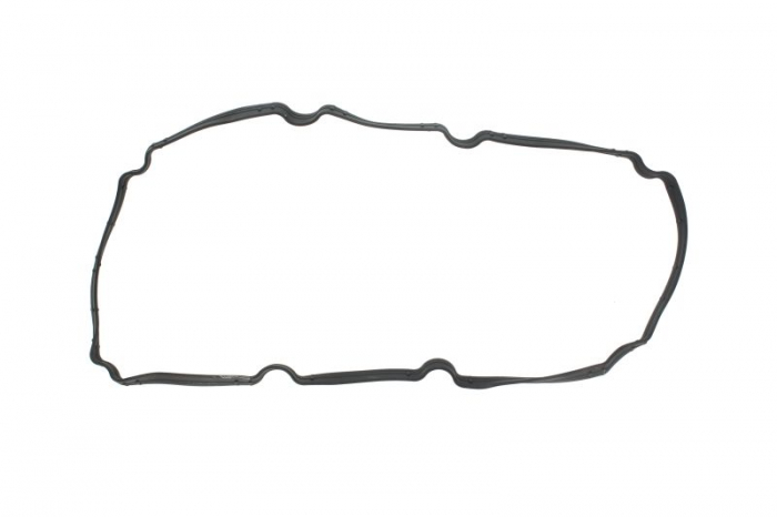 Garnitura capac supape potrivit CHRYSLER 300C; DODGE CHALLENGER, CHARGER, JOURNEY; VW ROUTAN 3.5/3.8 09.04-11.12 [1]