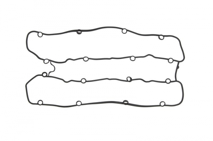 Garnitura capac supape potrivit RENAULT MEGANE I, MEGANE I COACH, SPORT SPIDER 2.0 03.95-08.03 [1]