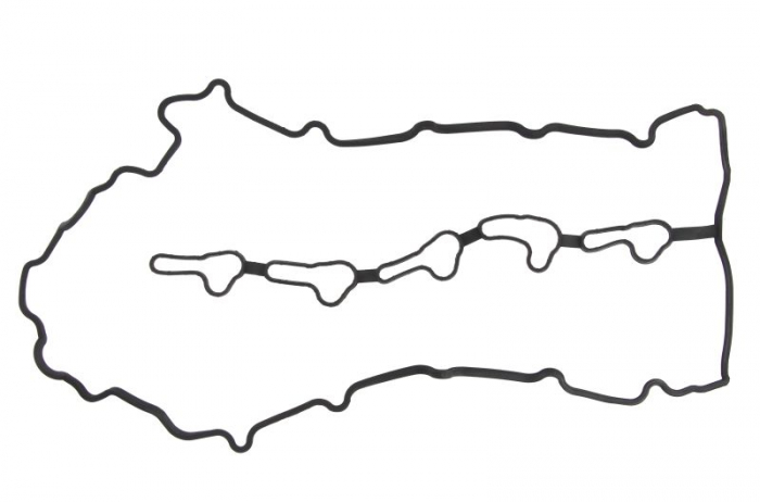 Garnitura capac supape potrivit SSANGYONG KYRON, REXTON / REXTON II, RODIUS I 2.7D 12.03- [1]