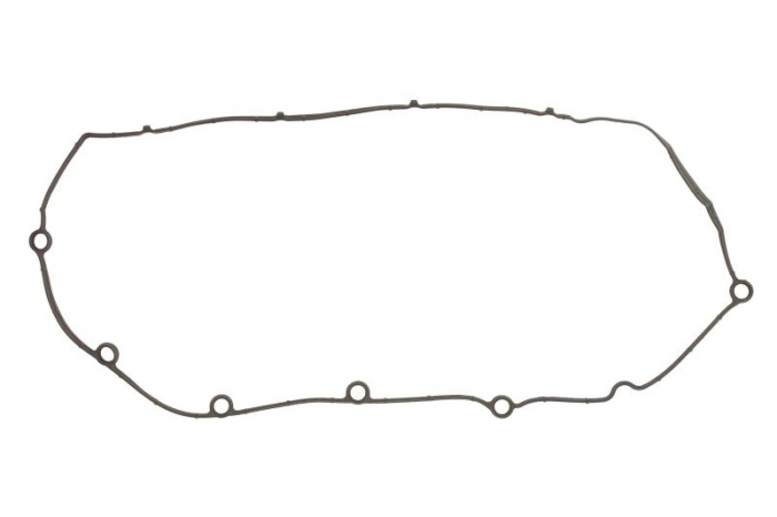 Garnitura capac supape potrivit VOLVO C30, C70 II, S40 I, S40 II, S80 II, V50, V70 III; CITROEN C4, C4 GRAND PICASSO I, C4 I, C4 PICASSO I, C5 II, C5 III, C5/KOMBI, C8, JUMPY II 2.0/2.0D 05.99- [1]