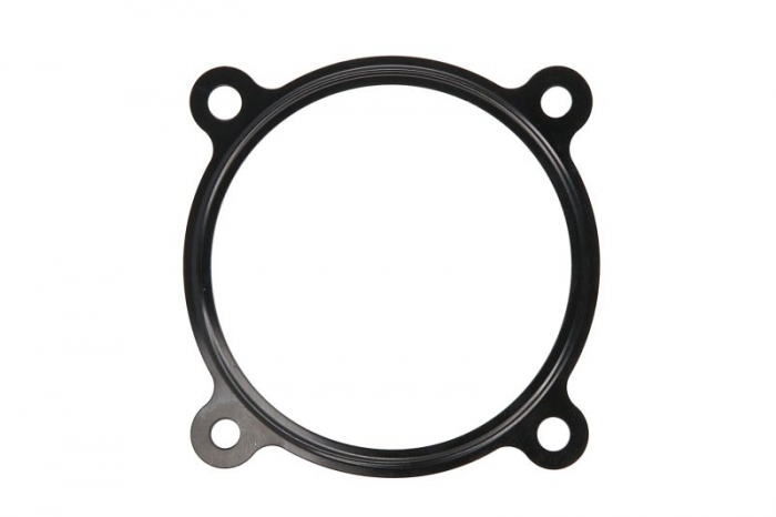 Garnitura, Carcasa galerie admisie potrivit AUDI A3, A8 D3, Q3, TT; CUPRA FORMENTOR; VW PASSAT B5.5, TOUAREG 2.5/4.0/6.0 09.01- [1]