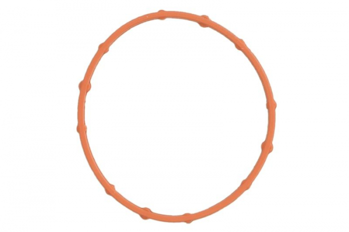 Garnitura, Carcasa galerie admisie potrivit CHEVROLET TRAX; OPEL ASTRA J, ASTRA J GTC, ASTRA J/HATCHBACK, ASTRA K, INSIGNIA A, INSIGNIA A COUNTRY, INSIGNIA B, INSIGNIA B GRAND SPORT, MERIVA B 1.6D 02. [1]