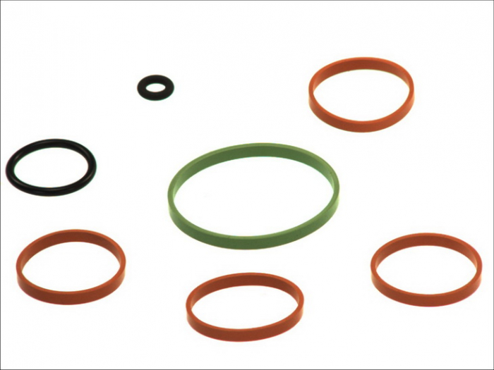 Garnitura galerie admisie kit de Fiat Grande Punto 1.2 10/05- [1]