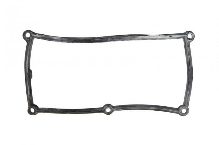 Garnitura galerie admisie potrivit AUDI A4 B5; SEAT AROSA; VW CADDY II, LUPO I, POLO, POLO III, POLO III CLASSIC 1.7D/1.9D/1.9DH 07.96-07.05 [1]