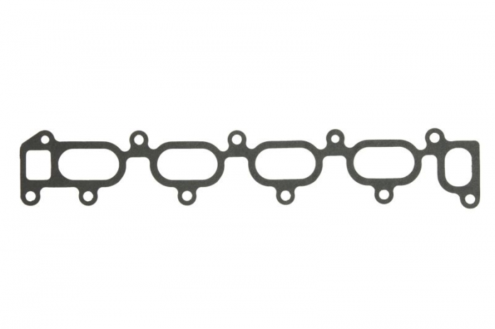 Garnitura galerie admisie potrivit HYUNDAI ELANTRA III, SANTA FÉ I, SONATA V, TRAJET, TUCSON; KIA SPORTAGE II 2.0D 04.01- [1]