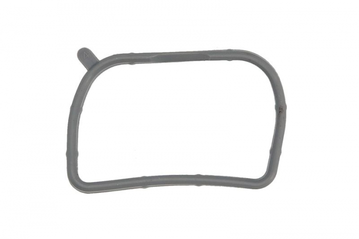 Garnitura, galerie admisie potrivit HYUNDAI GRANDEUR, IX35, SANTA FÉ II, SANTA FÉ III, SONATA V, SONATA VI; KIA CERATO II, CERATO III, MAGENTIS II, OPTIMA, SORENTO II 2.0/2.4/2.4LPG 01.05- [1]