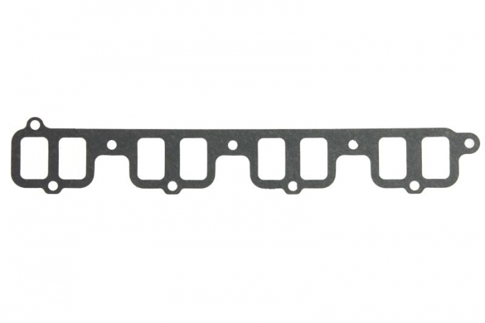 Garnitura galerie admisie potrivit HYUNDAI TERRACAN; KIA CARNIVAL I, CARNIVAL II 2.9D 08.99-12.06 [1]