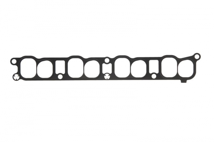 Garnitura galerie admisie potrivit MAZDA 3, 6, CX-7 2.3 12.05-12.14 [1]