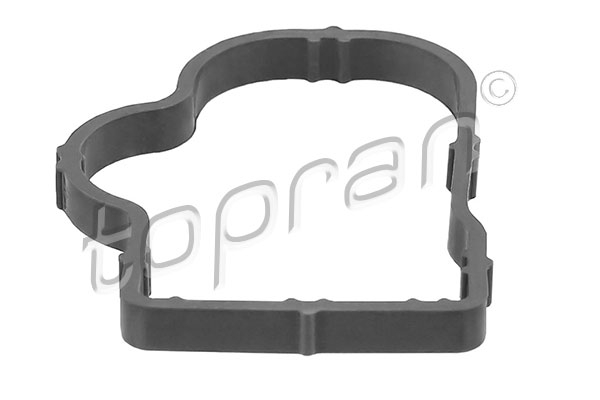 Garnitura, galerie admisie potrivit OPEL AGILA, ASTRA G, ASTRA G CLASSIC, ASTRA H, ASTRA H CLASSIC, ASTRA H GTC, COMBO TOUR, COMBO/MINIVAN, CORSA C, CORSA C/HATCHBACK, CORSA D 1.0-1.4LPG 09.00- [2]