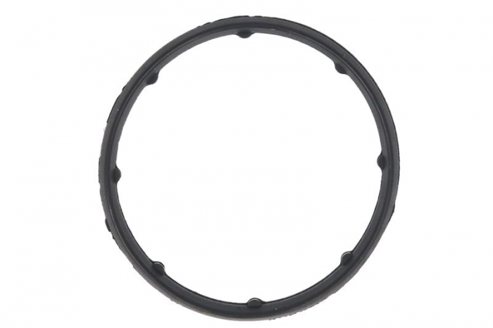 Garnitura galerie admisie potrivit RENAULT CLIO II, KANGOO, KANGOO EXPRESS 1.4/1.6 08.97- [1]