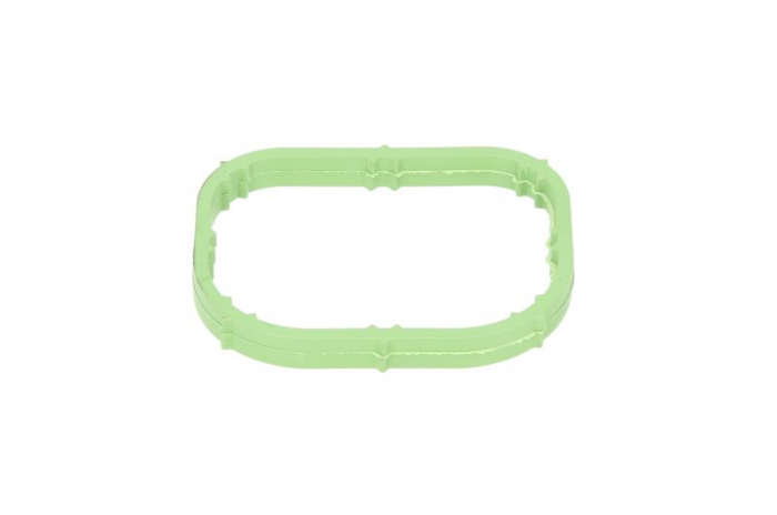 Garnitura galerie admisie potrivit SEAT TOLEDO II; VW BORA, BORA I, GOLF IV 2.3 08.97-06.06 [1]