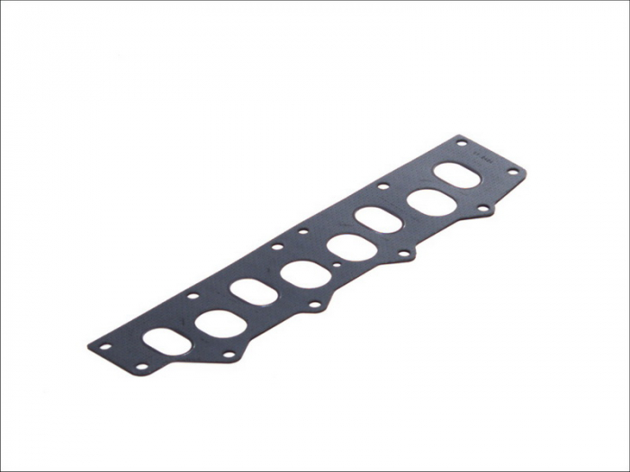 Garnitura, galerie admisie potrivit VOLVO 440, 460, S40 I, V40; ARO 10; MITSUBISHI CARISMA; OPEL ARENA; RENAULT 19 I CHAMADE, 19 II, 19 II CHAMADE, 19 II/HATCHBACK, MEGANE I, MEGANE I CLASSIC 1.9D 09. [1]