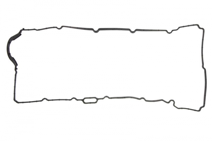 Garnitura supape potrivit HYUNDAI IX35, SANTA FÉ II, SANTA FÉ III; KIA CARNIVAL III, SORENTO II, SORENTO III, SPORTAGE III 2.0D/2.2D 01.09- [1]