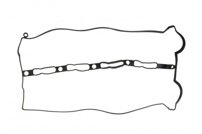 Garnitura supape potrivit KIA CARNIVAL III 2.9D 04.06- [1]