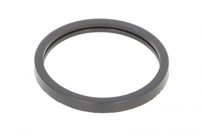 Garnitura termostat potrivit LEXUS CT; LOTUS ELISE; MINI (R50, R53); SUBARU TREZIA; SUZUKI SWACE; TOYOTA ALLION II, AURIS, AVENSIS, C-HR, COROLLA, IQ, ISIS 1.4D-2.0D 09.00- [1]