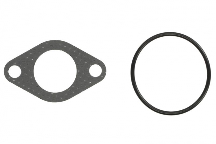 Garnitura valvei EGR potrivit AUDI A2, A3; SEAT AROSA, CORDOBA, CORDOBA VARIO, CORDOBA VARIO/KOMBI, IBIZA II, IBIZA III, INCA, LEON, TOLEDO II; SKODA FABIA I 1.2D/1.4D/1.9D 08.96-03.10 [1]