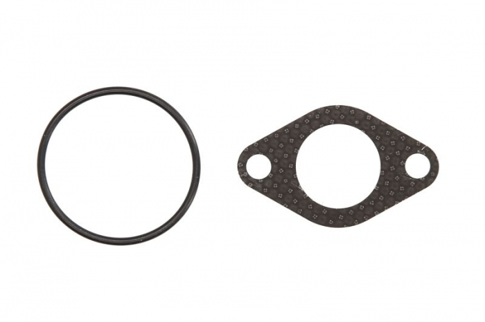 Garnitura valvei EGR potrivit AUDI A3, A4 B5, A4 B6, A6 C5; FORD GALAXY I; SEAT ALHAMBRA, LEON, TOLEDO II; SKODA OCTAVIA I, SUPERB I; VW GOLF IV, PASSAT B5, PASSAT B5.5 1.9D 03.95-03.10 [1]