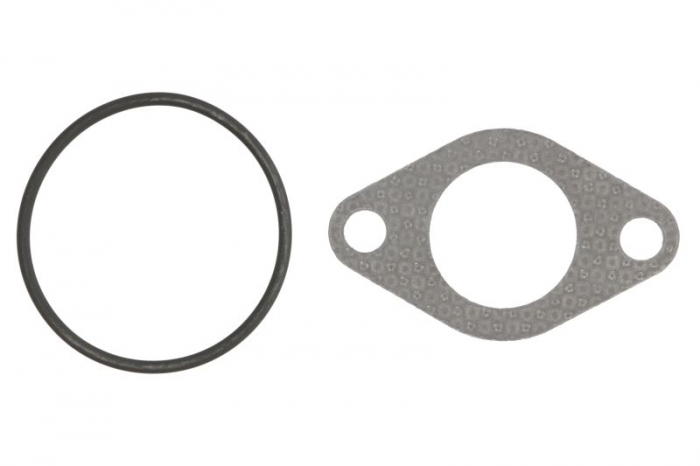 Garnitura valvei EGR potrivit AUDI A3; SEAT CORDOBA, IBIZA III; SKODA FABIA I, FABIA I PRAKTIK, OCTAVIA I; VW NEW BEETLE, POLO 1.9D 01.00-09.10 [1]