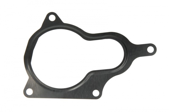 Garnitura valvei EGR potrivit AUDI A4 B7, A6 C6 2.0D 07.04-08.11 [1]
