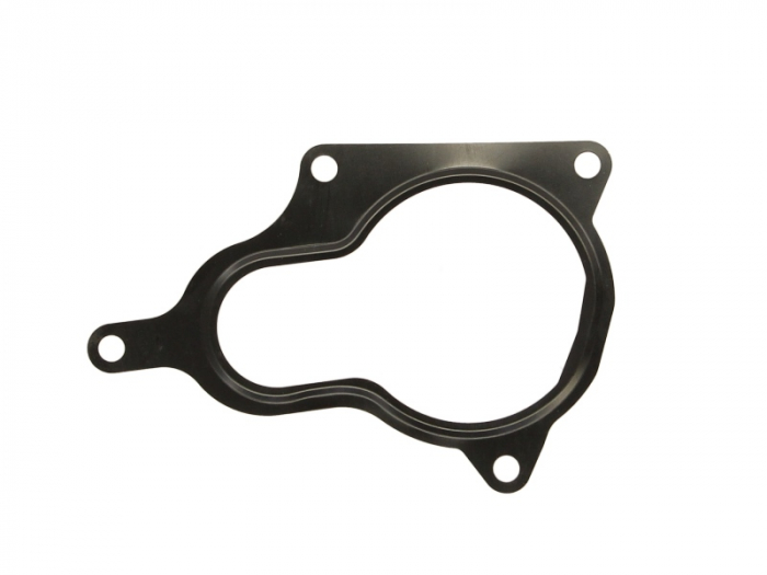 Garnitura valvei EGR potrivit AUDI A4 B7, A6 C6 2.0D 07.04-08.11 [1]