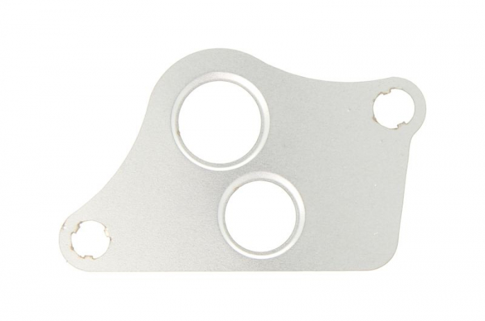 Garnitura valvei EGR potrivit CHEVROLET VECTRA; FIAT CROMA; OPEL ASTRA G, SPEEDSTER, VECTRA B, VECTRA C, VECTRA C GTS, ZAFIRA A 2.2 06.00-12.10 [1]