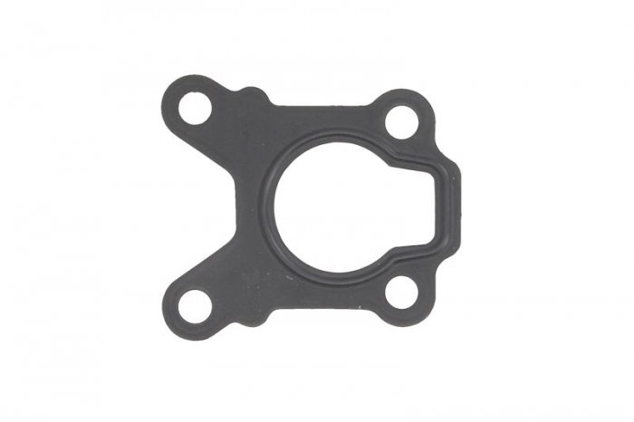 Garnitura valvei EGR potrivit NISSAN MURANO II, NAVARA, NP300, NP300 NAVARA, PATHFINDER III, PICK UP 2.5D 11.01- [1]