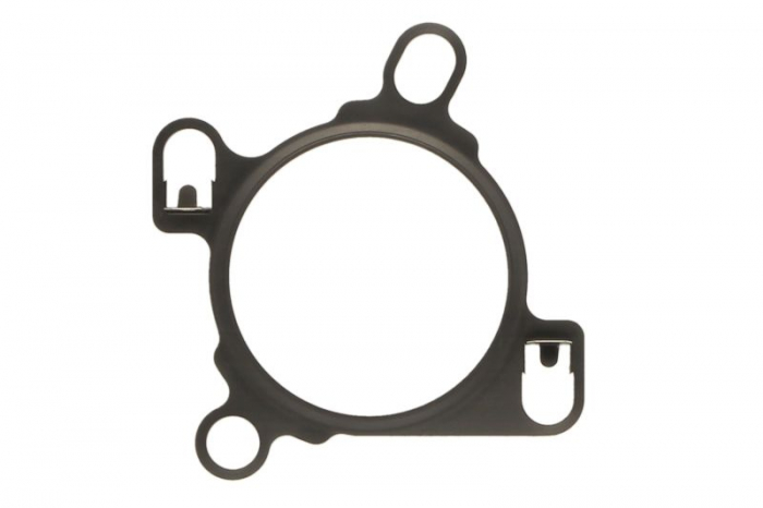 Garnitura valvei EGR potrivit NISSAN NV400, PRIMASTAR, QASHQAI I, X-TRAIL, X-TRAIL II, X-TRAIL III; OPEL MOVANO B, VIVARO A; RENAULT ESPACE IV, ESPACE V, GRAND SCENIC II 2.0D/2.3D 08.05- [1]