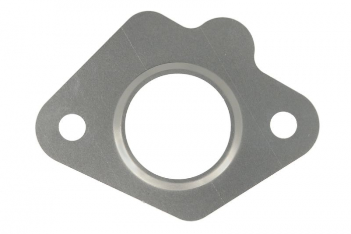 Garnitura valvei EGR potrivit VOLVO S40 II, V50; CITROEN BERLINGO MULTISPACE, BERLINGO/MINIVAN, C1, C2, C2 ENTERPRISE, C3 I, C3 II, C3 PICASSO, C3 PLURIEL, C4 1.4D/1.6D 09.01- [1]