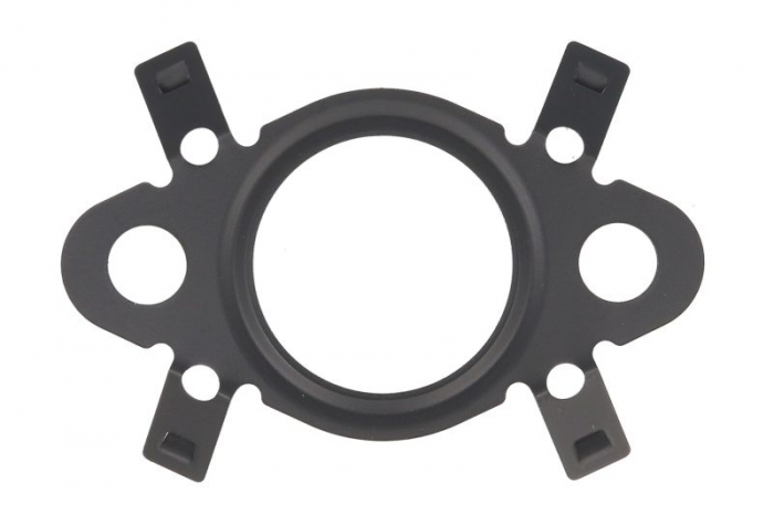 Garnitura valvei EGR potrivit VW BEETLE, GOLF VI, JETTA III, JETTA IV; MULTICAR TREMO 2.0D 08.05- [1]