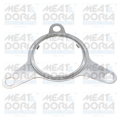 Garnitura, ventil AGR (10 pcs.) potrivit DACIA DUSTER, LOGAN, LOGAN EXPRESS, LOGAN II, LOGAN MCV, LOGAN MCV II, SANDERO; NISSAN KUBISTAR, MICRA III, NOTE, QASHQAI I, TIIDA; RENAULT CLIO II 1.5D/1.6CNG [1]