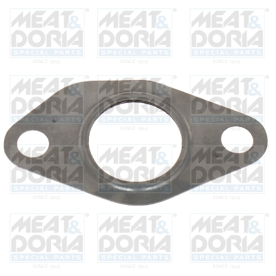 Garnitura, ventil AGR potrivit FORD FOCUS I 1.8D 03.01-11.04 [1]