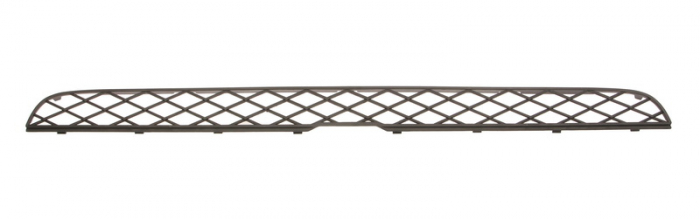 Grila bara fata mijloc, deasupra, negru BMW X5 intre 2007-2010 [1]