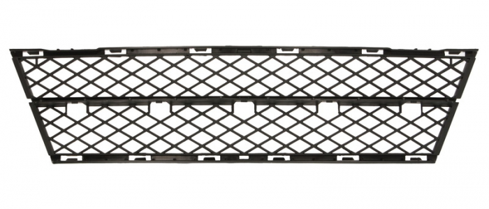 Grila bara fata mijloc, negru BMW Seria 5 intre 2007-2010 [1]