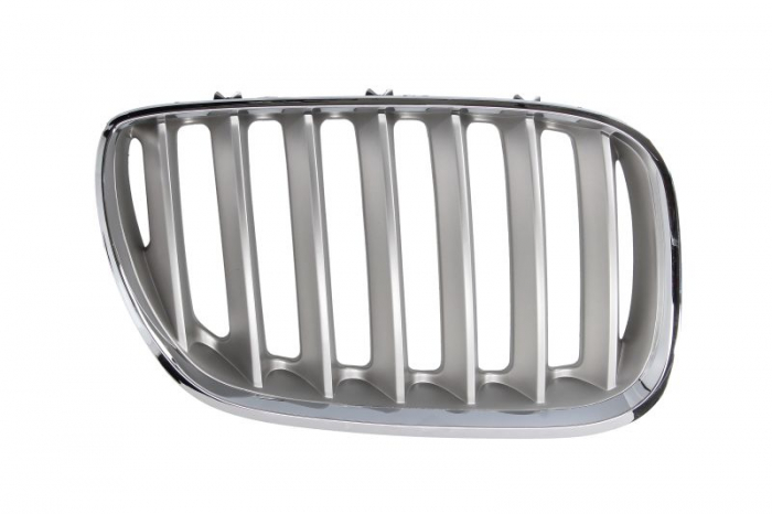 Grila fata dreapta titanium BMW X5 E53 intre 2003-2006 [2]