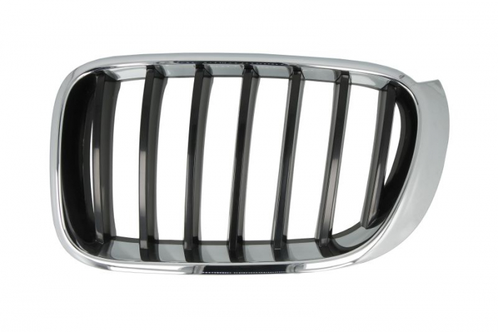 Grila fata stanga BASIS, negru/crom BMW X3, X4 intre 2014-2018 [2]