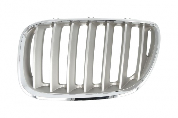 Grila fata stanga titanium BMW X5 E53 intre 2003-2006 [1]