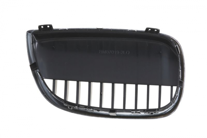 Grila radiator BMW Seria 1 (E81) 2003-2007 [2]
