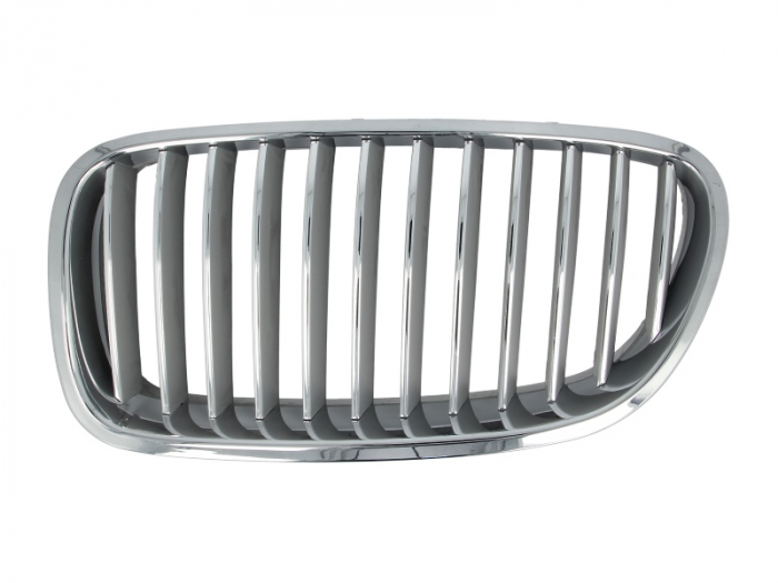 Grila radiator BMW Seria 5 (F10, F18) dupa 2009 [2]