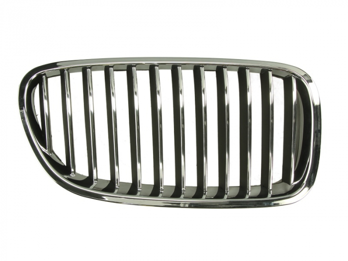 Grila radiator BMW Seria 5 (F10, F18) dupa 2009 [1]