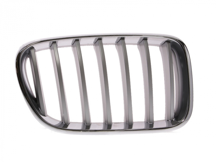 Grila radiator BMW Seria X3 (F25) 2010-2018 [1]