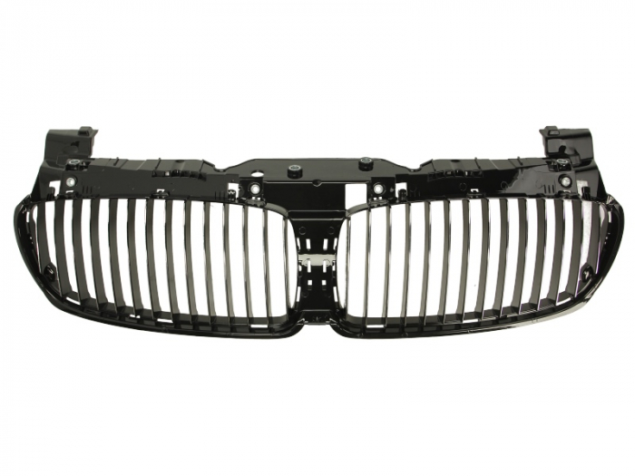 Grila radiator fata interior BMW intre 7 E65, E66, E67 intre 2005-2009 [2]