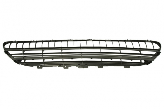Grila ventilatie, bara protectie Fata (Mijloc) potrivit PEUGEOT 406 11.95-12.04 [2]